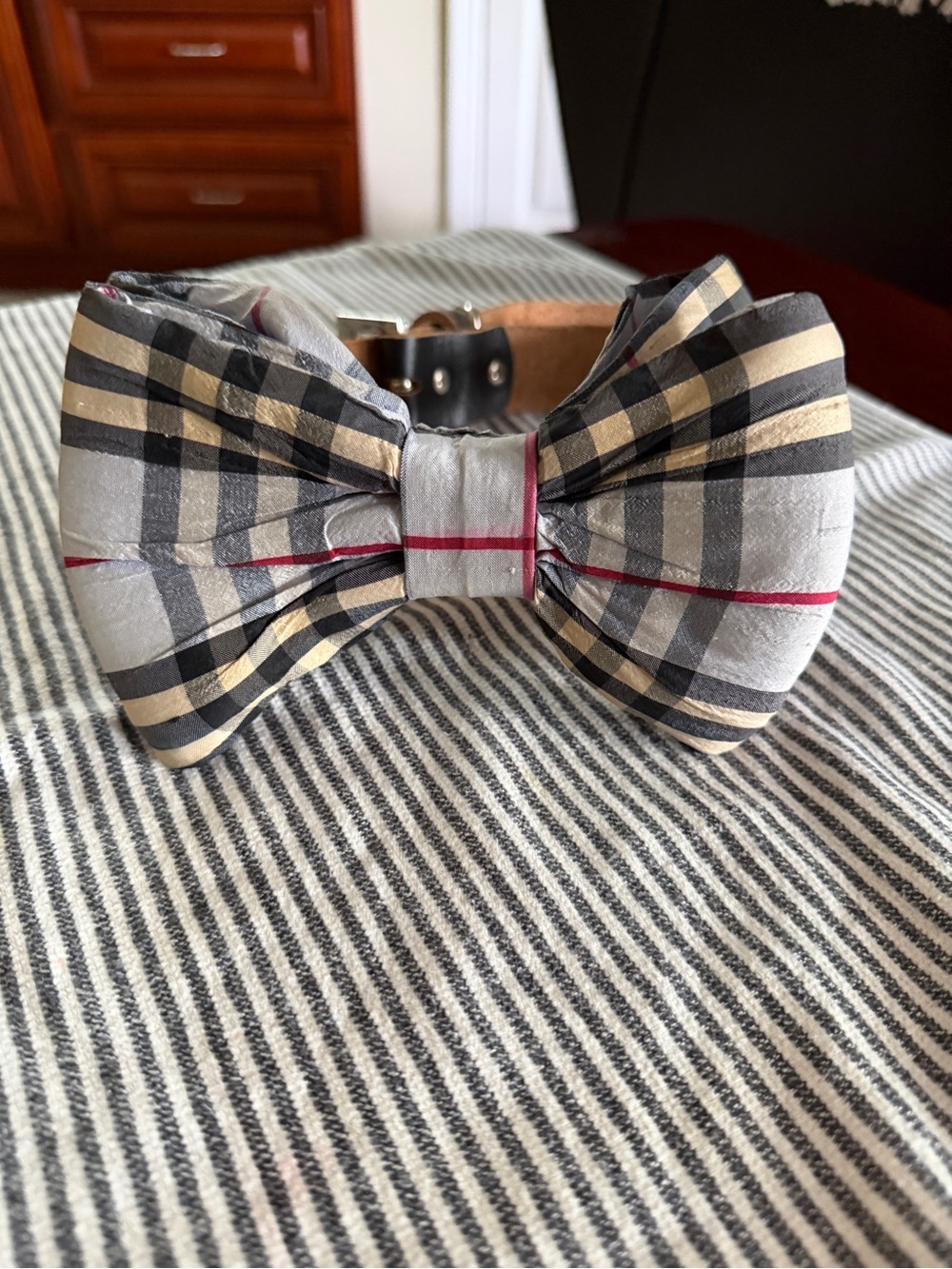 Plaid Bow Tie Dog Collar in Gray & Black - Classic Finish